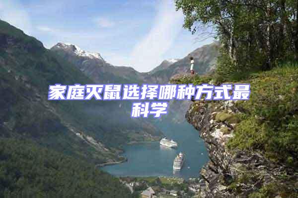 家庭滅鼠選擇哪種方式最科學(xué)