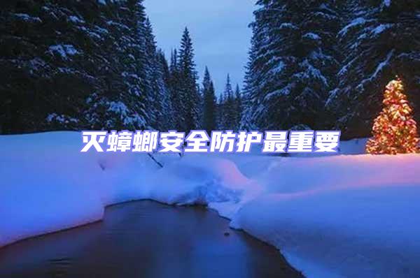 滅蟑螂安全防護(hù)最重要