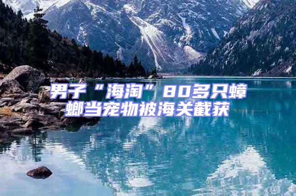 男子“海淘”80多只蟑螂當(dāng)寵物被海關(guān)截獲