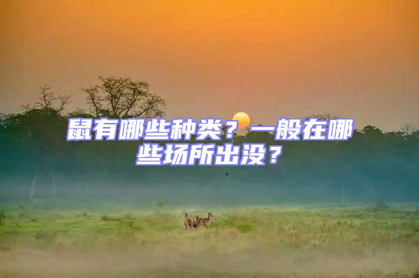 鼠有哪些種類？一般在哪些場(chǎng)所出沒(méi)？