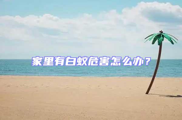 家里有白蟻危害怎么辦？