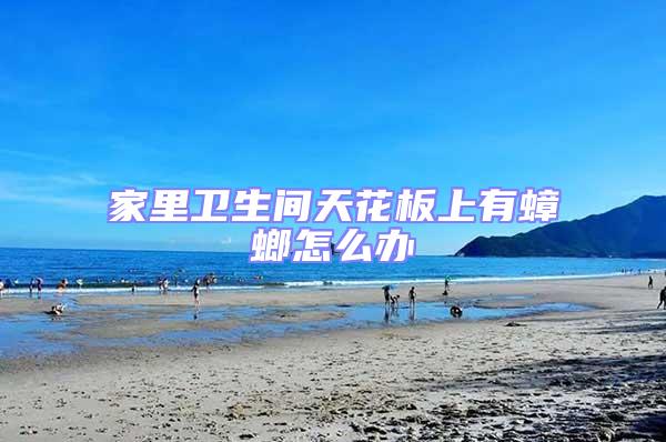 家里衛(wèi)生間天花板上有蟑螂怎么辦