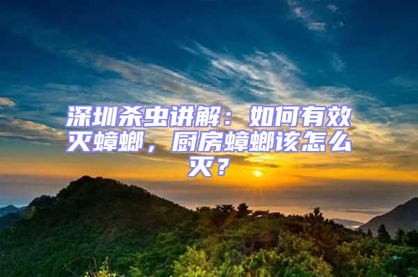 深圳殺蟲講解：如何有效滅蟑螂，廚房蟑螂該怎么滅？