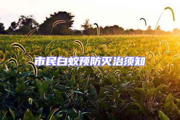 市民白蟻預(yù)防滅治須知