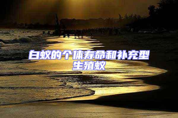 白蟻的個(gè)體壽命和補(bǔ)充型生殖蟻