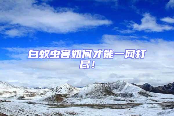 白蟻蟲害如何才能一網打盡！