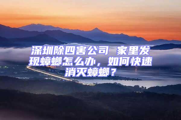 深圳除四害公司 家里發現蟑螂怎么辦，如何快速消滅蟑螂？