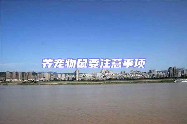 養(yǎng)寵物鼠要注意事項(xiàng)