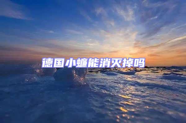 德國(guó)小蠊能消滅掉嗎