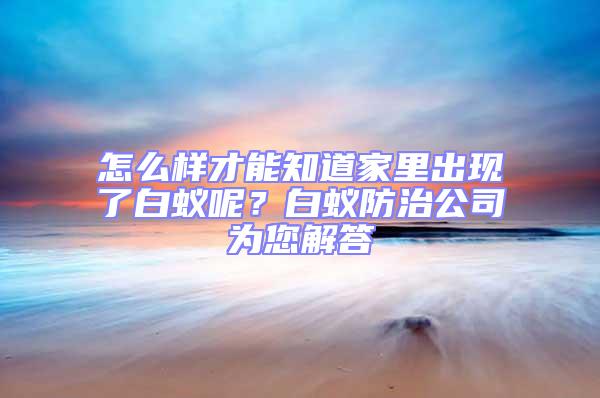 怎么樣才能知道家里出現(xiàn)了白蟻呢？白蟻防治公司為您解答