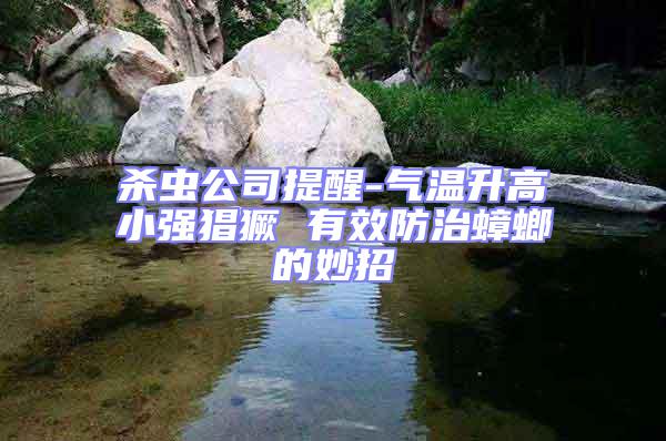 殺蟲公司提醒-氣溫升高小強(qiáng)猖獗 有效防治蟑螂的妙招