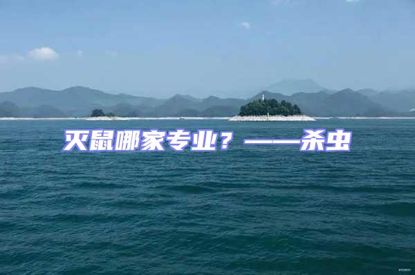 滅鼠哪家專業？——殺蟲