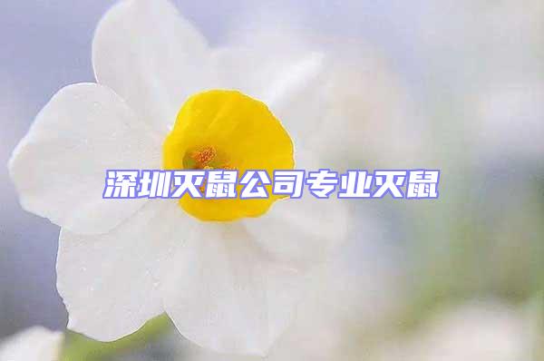深圳滅鼠公司專業(yè)滅鼠
