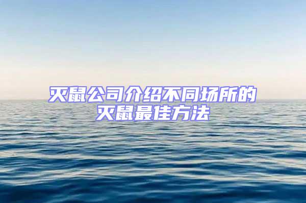 滅鼠公司介紹不同場(chǎng)所的滅鼠最佳方法