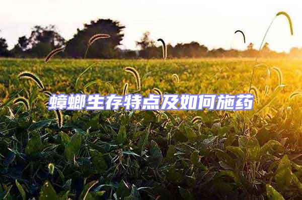 蟑螂生存特點(diǎn)及如何施藥