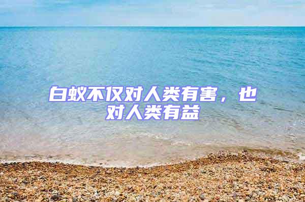 白蟻不僅對人類有害，也對人類有益