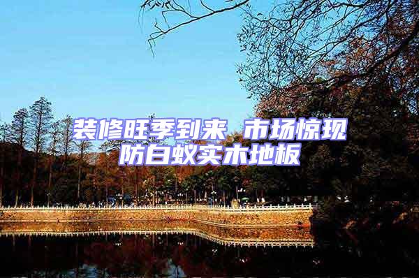 裝修旺季到來 市場驚現(xiàn)防白蟻實(shí)木地板