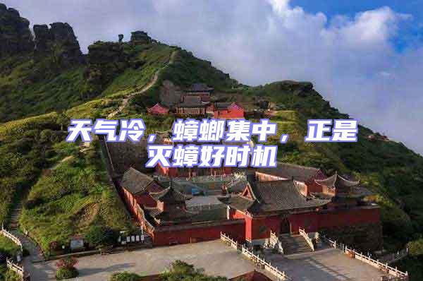 天氣冷，蟑螂集中，正是滅蟑好時(shí)機(jī)