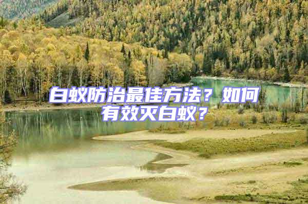 白蟻防治最佳方法？如何有效滅白蟻？