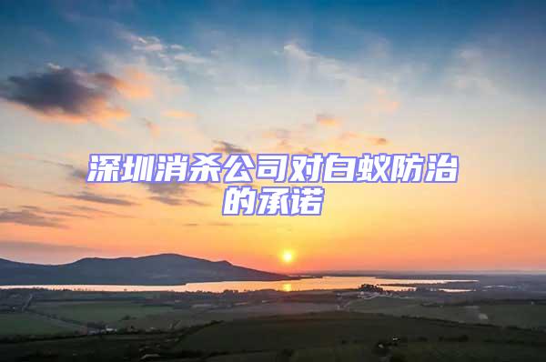深圳消殺公司對白蟻防治的承諾