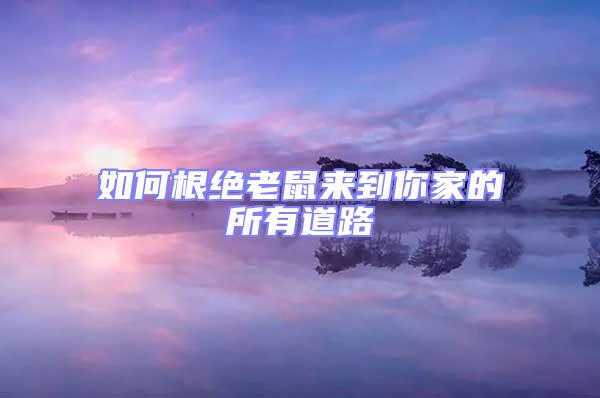 如何根絕老鼠來(lái)到你家的所有道路