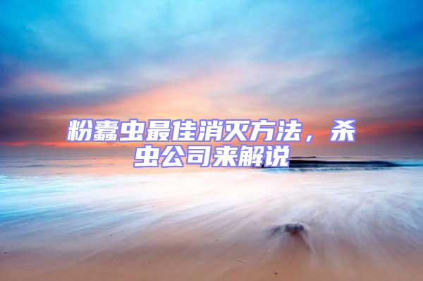 粉蠹蟲最佳消滅方法，殺蟲公司來解說