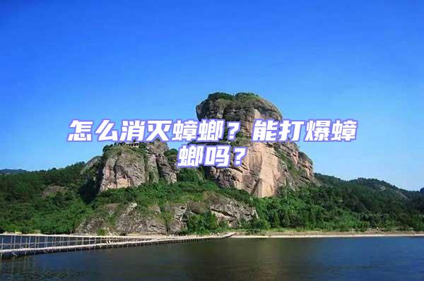 怎么消滅蟑螂？能打爆蟑螂嗎？