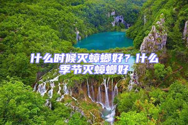 什么時(shí)候滅蟑螂好？什么季節(jié)滅蟑螂好