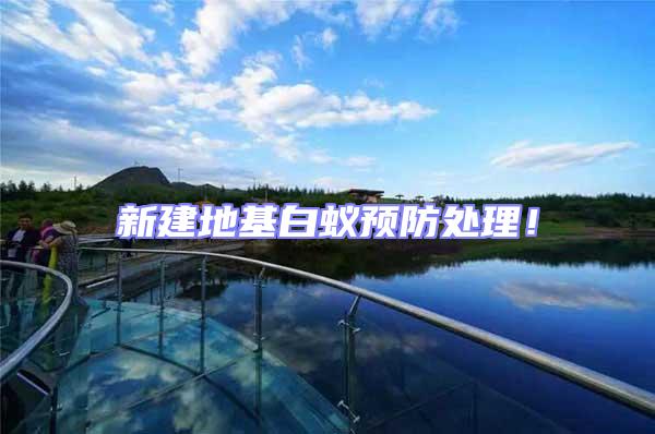 新建地基白蟻預防處理！