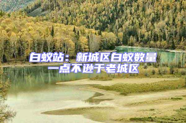白蟻站：新城區白蟻數量一點不遜于老城區