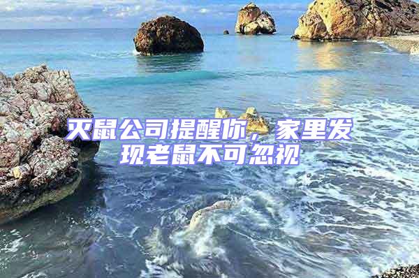 滅鼠公司提醒你，家里發現老鼠不可忽視