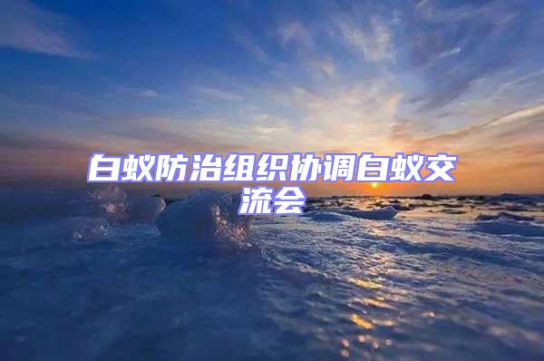 白蟻防治組織協(xié)調(diào)白蟻交流會(huì)