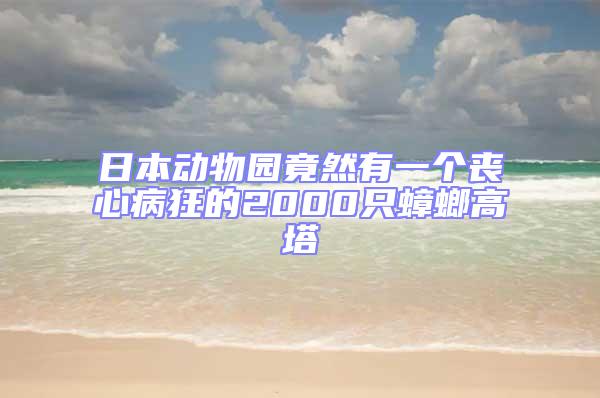 日本動(dòng)物園竟然有一個(gè)喪心病狂的2000只蟑螂高塔