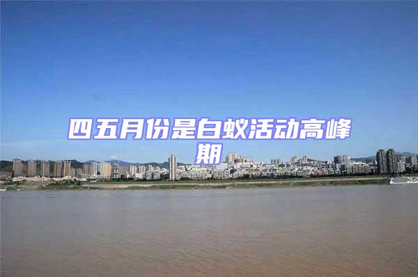 四五月份是白蟻活動(dòng)高峰期