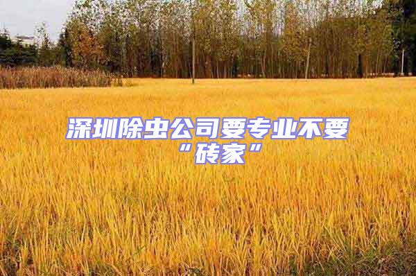 深圳除蟲公司要專業不要“磚家”