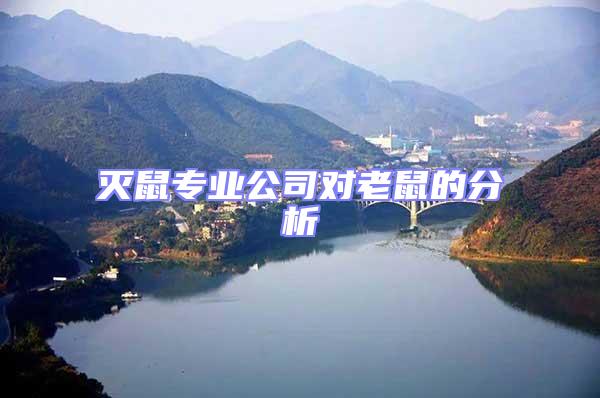 滅鼠專業(yè)公司對老鼠的分析