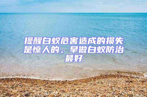 提醒白蟻危害造成的損失是驚人的，早做白蟻防治最好
