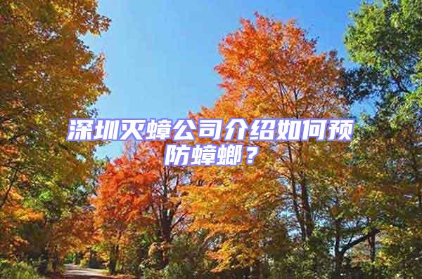 深圳滅蟑公司介紹如何預防蟑螂？