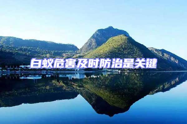 白蟻危害及時防治是關(guān)鍵