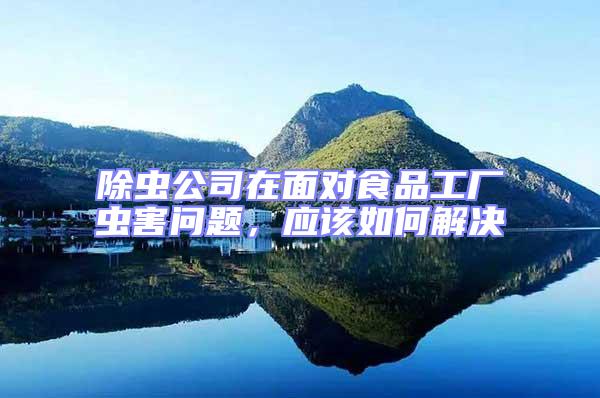 除蟲公司在面對食品工廠蟲害問題，應該如何解決