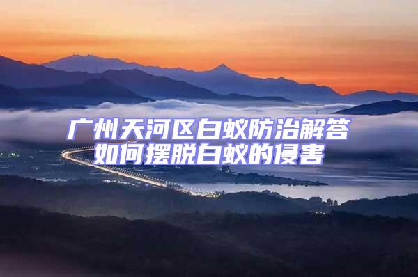 廣州天河區白蟻防治解答如何擺脫白蟻的侵害