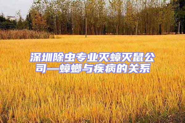 深圳除蟲專業(yè)滅蟑滅鼠公司—蟑螂與疾病的關(guān)系
