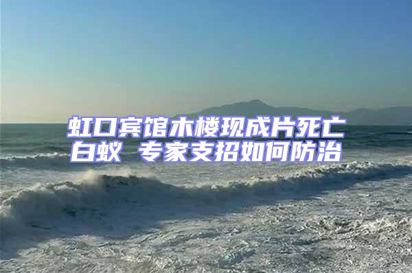 虹口賓館木樓現(xiàn)成片死亡白蟻 專家支招如何防治
