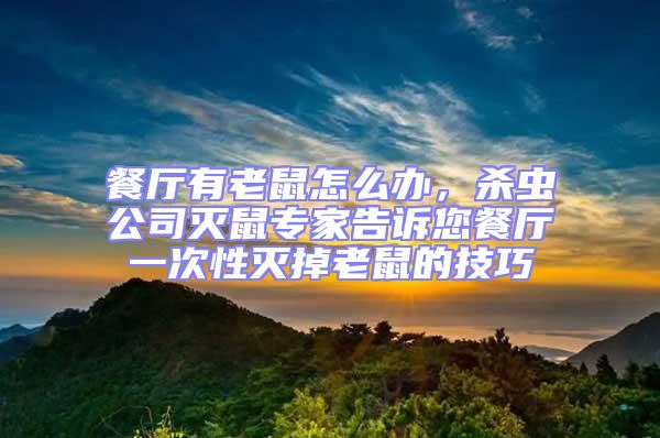 餐廳有老鼠怎么辦，殺蟲(chóng)公司滅鼠專(zhuān)家告訴您餐廳一次性滅掉老鼠的技巧