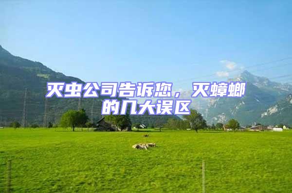 滅蟲公司告訴您，滅蟑螂的幾大誤區