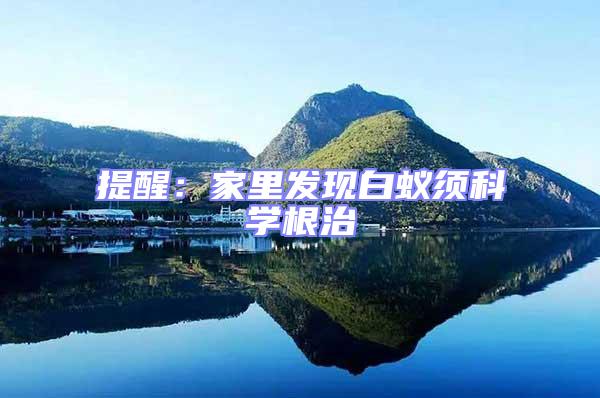 提醒：家里發(fā)現(xiàn)白蟻須科學(xué)根治