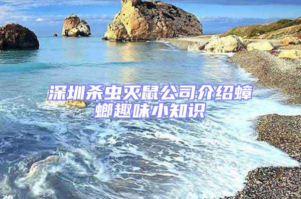 深圳殺蟲滅鼠公司介紹蟑螂趣味小知識(shí)