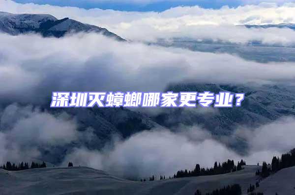 深圳滅蟑螂哪家更專業？
