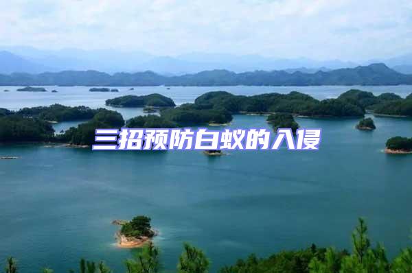 三招預(yù)防白蟻的入侵