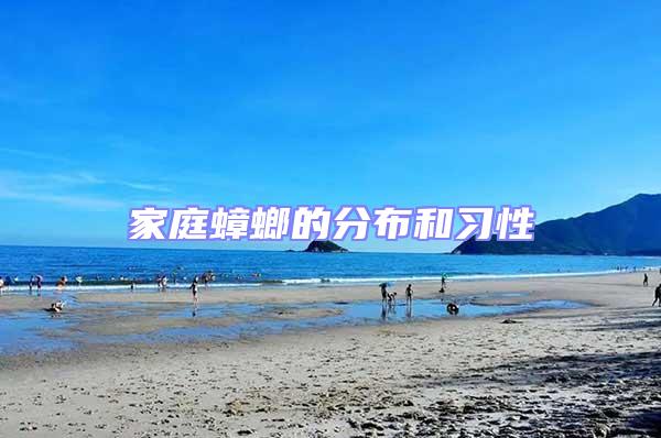 家庭蟑螂的分布和習(xí)性
